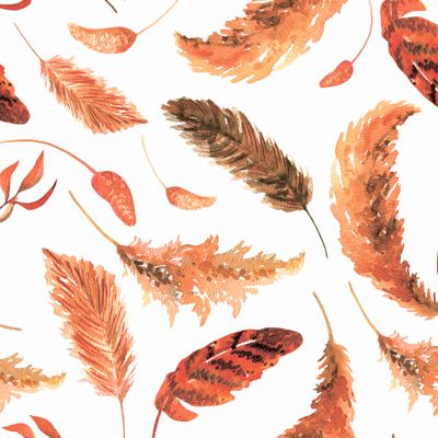 Пампасная трава, сухая трава