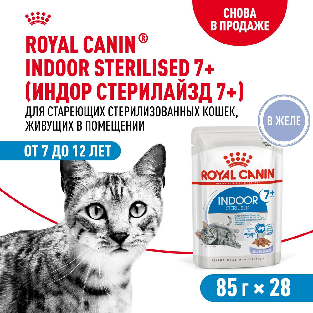Royal Canin Indoor Sterilized 7+ Корм консервированный для стареющих кошек желе 85г