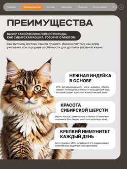 Корм сухой для кошек породы Сибирская кошка, с индейкой, 5 кг, QUATTRO