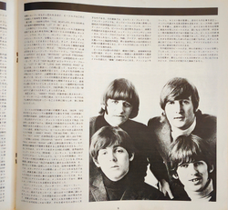 The Beatles / 1962-1966 (Red Vinyl)