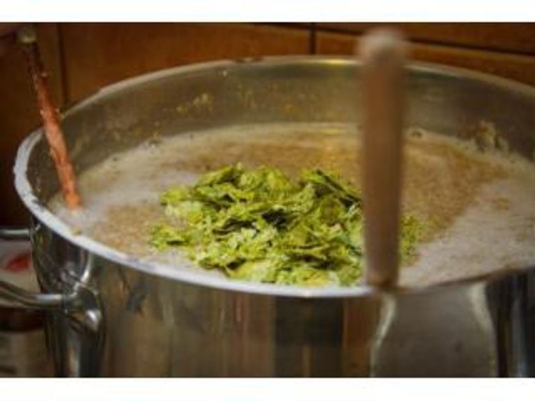 Хмелевые масла и охмеление