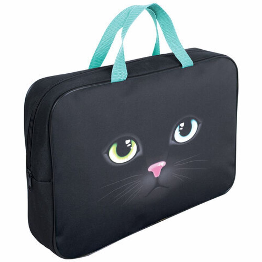 Школьный набор BRAUBERG: папка А4, мешок для обуви 42х33 см, пенал-косметичка 20х10 см, "Black cat", 271075