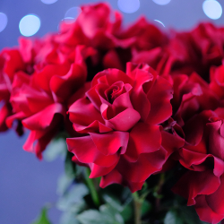 Букет французских роз Red