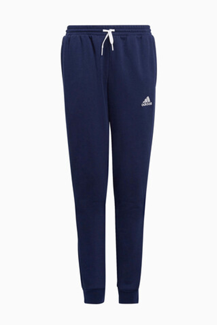 Штаны adidas Entrada 22 Sweat Junior