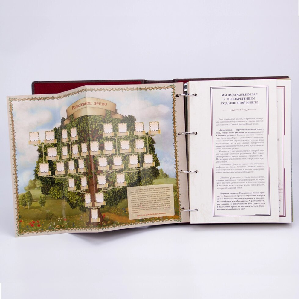 Родословная книга "Классическая" балакрон (в подарочной коробке) РК-01 золото