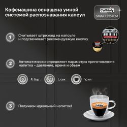 Кофемашина капсульная Caffitaly System S33 Arka Titanium (титан/серая)