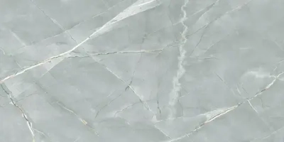 Керамогранит Royce William Grey Polished 60x120 см (R_PR2019)