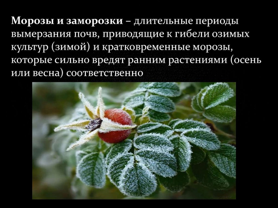 Агроклиматические ресурсы России