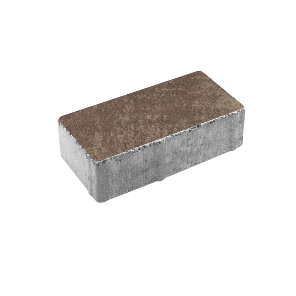 Тротуарная плитка ПРЯМОУГОЛЬНИК 200x100 мм - Листопад гладкий Хаски