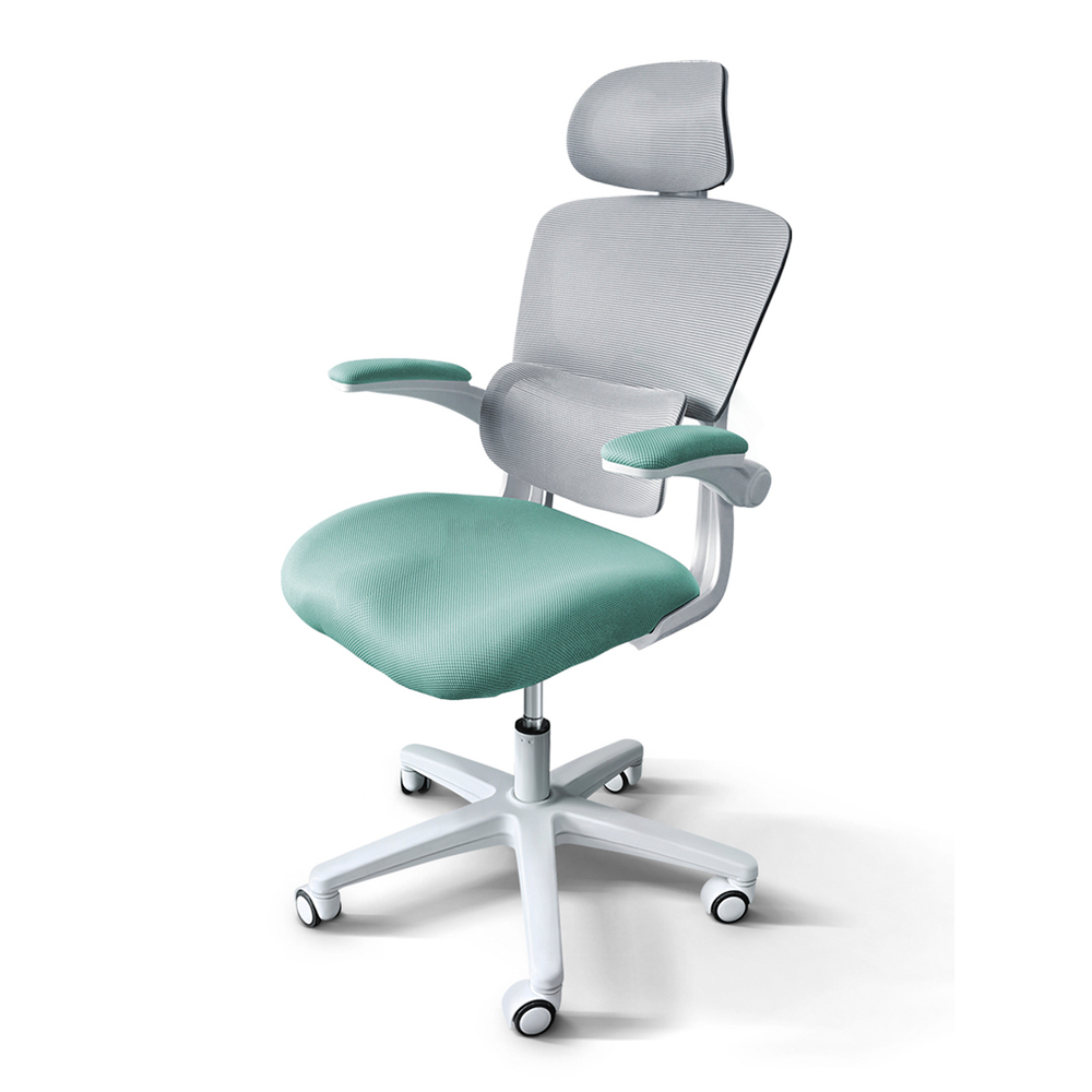 Детское кресло Ergokids Teen (T - 1)