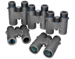 Бинокль Levenhuk Nitro 10x42
