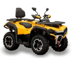 Квадроцикл HISUN Guardian 750 S (ПСМ)