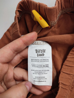 Шорты Bittle Land базовые на 10 лет