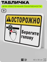 Табличка для обеспечения безопасности "Осторожно, берегите голову", для офиса, по охране труда для предприятия, организаций, 40х30 см, Silver Plane x Айдентика Технолоджи