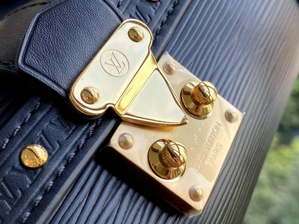 Louis Vuitton Papillon Trunk