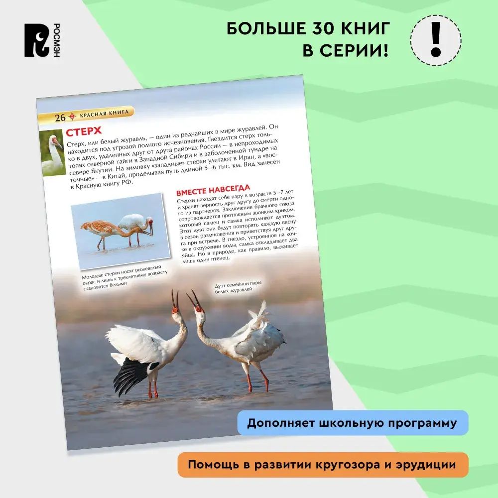 Красная книга. Детская энциклопедия