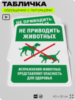 Табличка "Не приводить животных", для двора, дома, подъезда, 40х30 см, Silver Plane x Айдентика Технолоджи
