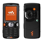 Мобильный телефон Sony Ericsson W810i Black