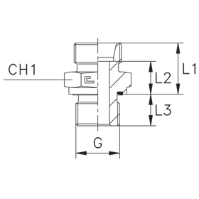 Штуцер FE DL42 BSP 1.1/4 (корпус)