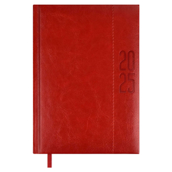 Ежедневник датированный 2025 ESCALADA, #ИЛОН МАСК, А5, 176 л.