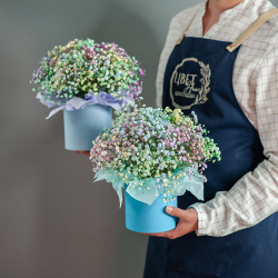 Цветная гипсофила в шляпной коробке размер S