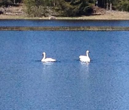 Практический Интенсив "Сознание Белваспата"