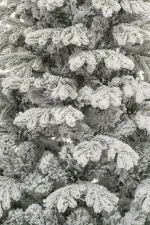 Заснеженная елка «Аляска» (Литая+пвх) 150 см / 1,5 м