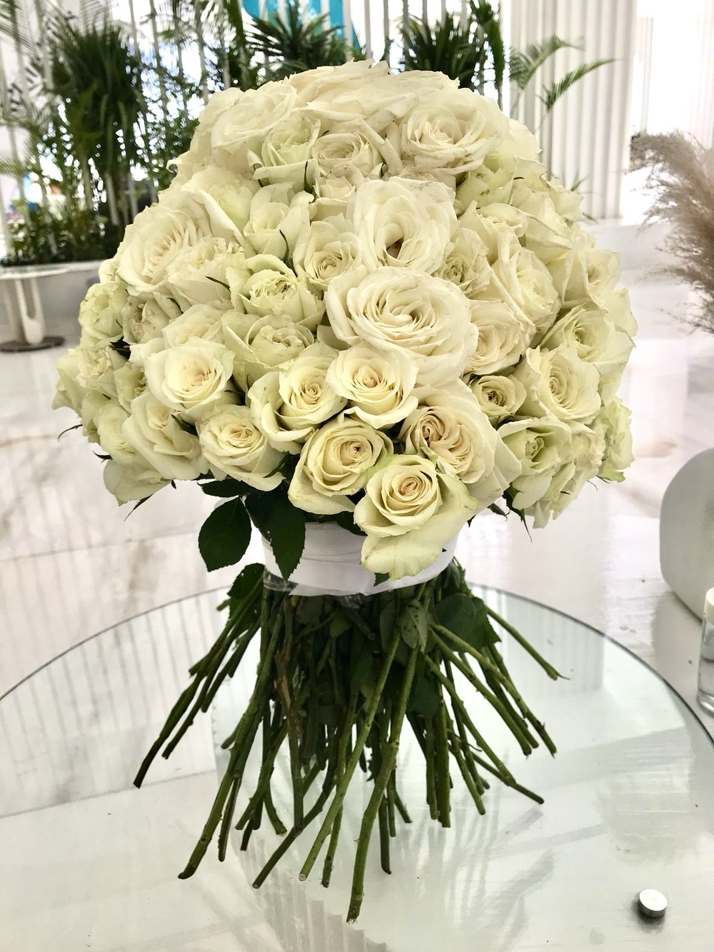 141 Белая Роза