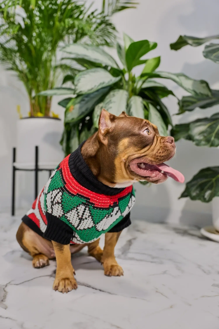 Для собачки