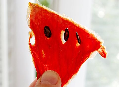 Сушеный арбуз в дегидраторе