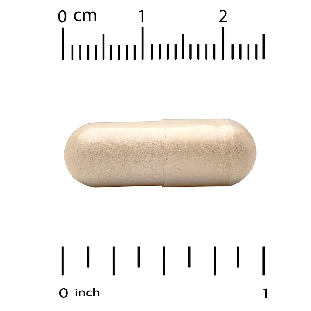 California Gold Nutrition, EuroHerbs™, экстракт гинкго билоба, качество Euromed, 120 мг, 60 растительных капсул