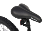 Maxiscoo 5BIKE 20'' M200 (2025)