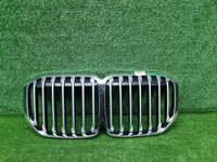Решетка радиатора BMW X7 G07 (2019-2022)