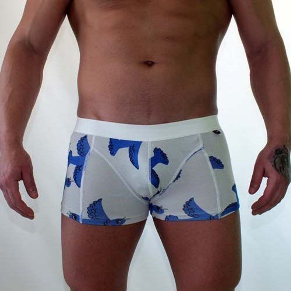 Трусы мужские боксеры светло-серые Van Baam VB-38099