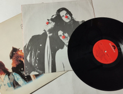 Винтажная виниловая пластинка LP Slade Nobodys Fools (Sweden 1976)