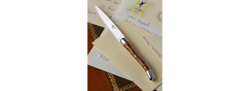 Letter opener, 2 stainless steel bolsters, shiny finish,Thuya handle
