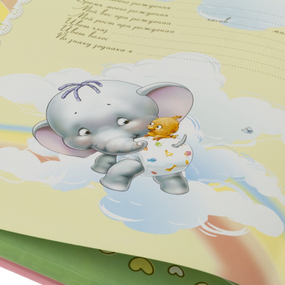 PB11/B016 Image Art «мой первый год жизни» , 11 магнитных листов 30*31