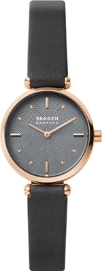 Женские наручные часы Skagen SKW2995