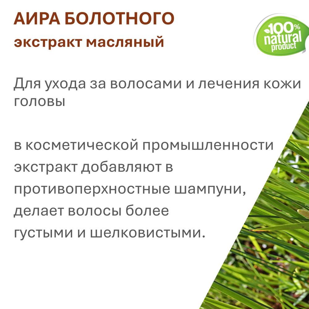 Экстракт аира, масляный