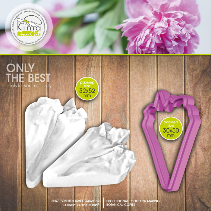 Пион Сара Бернар лепесток средний