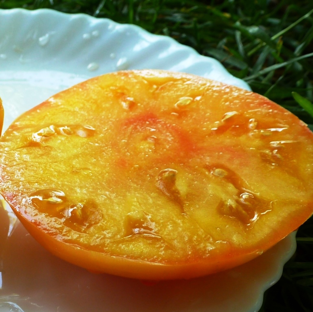 Помидоры COPIA — Копиа - Римская Богиня Богатства и Изобилия