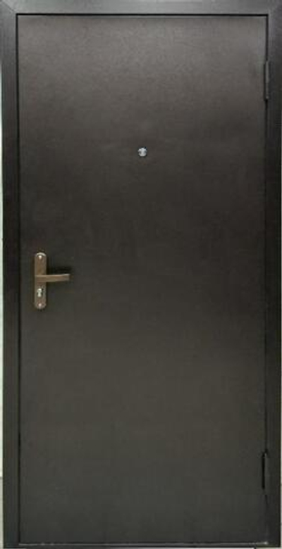 Дверь входная ПРОФИ