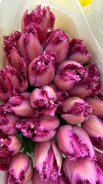 Розовые тюльпаны 15, 21, 33, 51 шт