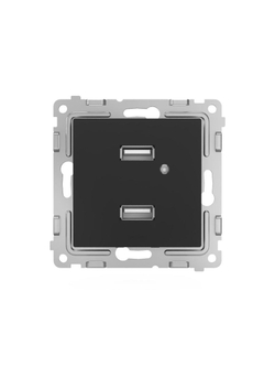 Розетка 2-м USB СП Pixel тип A+A 5В 1х2.1А 2х1.05А механизм карбон TOKOV ELECTRIC TKE-PX-2USB-C14