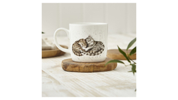 Кружка 310мл Royal Worcester Забавная фауна Коты