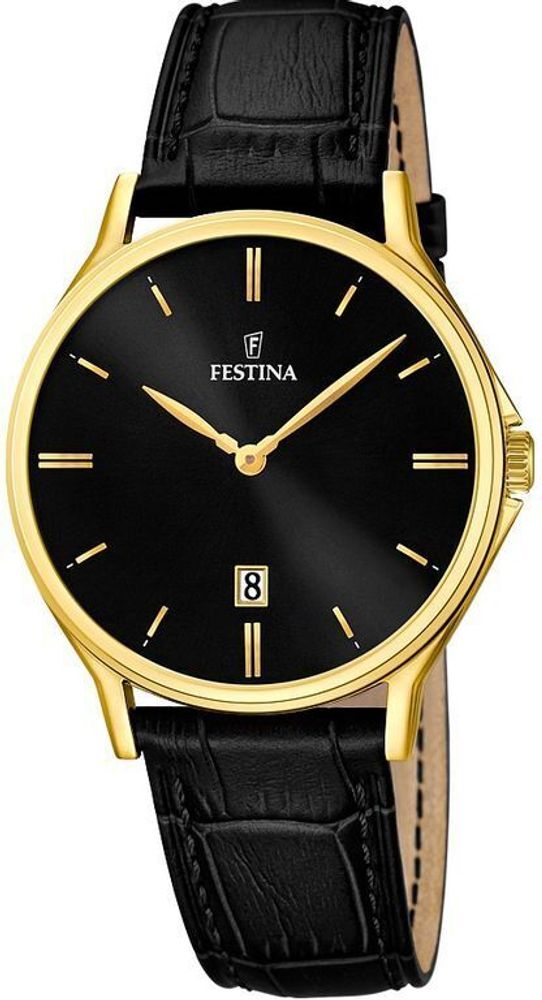 Мужские наручные часы Festina F16747/4