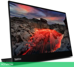 Портативный монитор Lenovo ThinkVision M14t Gen 2 63FDUAT6WL