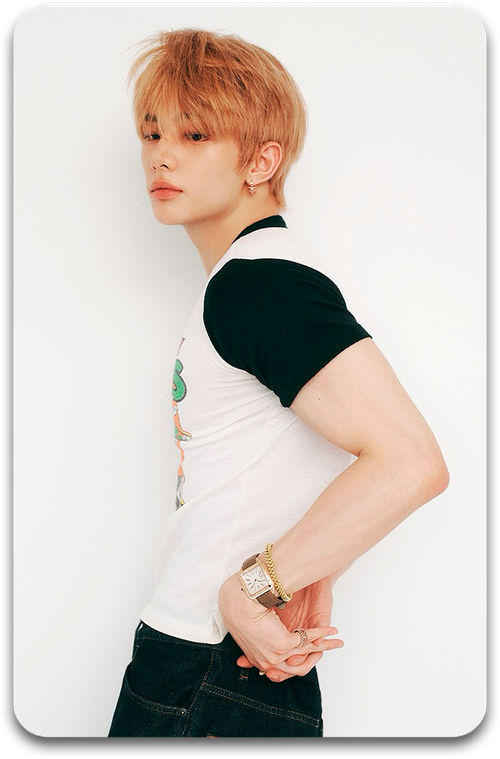 Карта / STRAY KIDS #3505