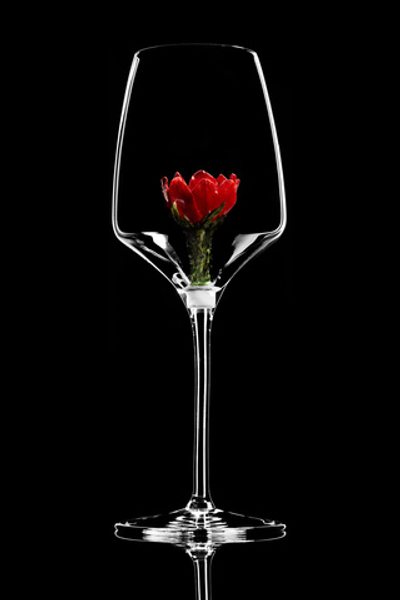 Бокал для белого вина. Адонис. Красный. Новая коллекция.