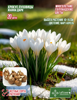 Крокус Луковица, Жанна Дарк, 20шт
